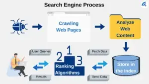 How Do Search Engines Work?